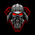 PROJECT VADER